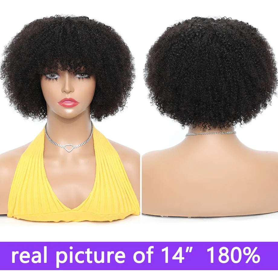 Afro Kinky Curly Human Hair Wig With Bangs Brazilian Hair Human Natural Afro Wig 220% Density Afro Wig For Women Human Hair