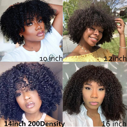 Mongolian Afro Kinky Curly Human Hair Wigs with Bangs Short Brazilian Remy Human Hair Machine Made Wigs for Women Glueless